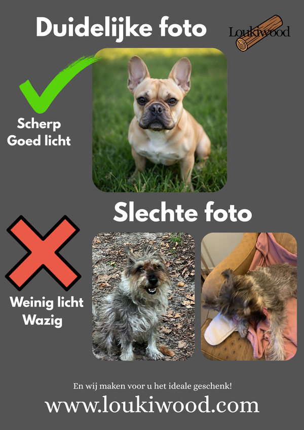 Gepersonaliseerde Honden/Kat Sleutelhanger